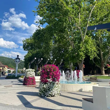 Baja's Garden * Bajina Basta