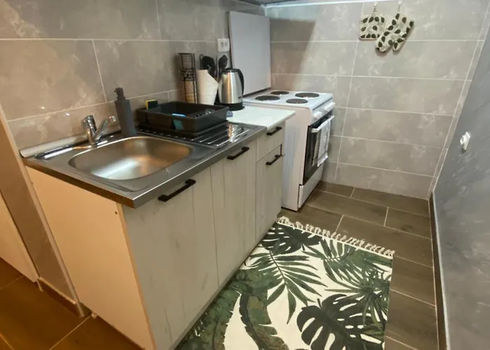 Baja's Garden 公寓