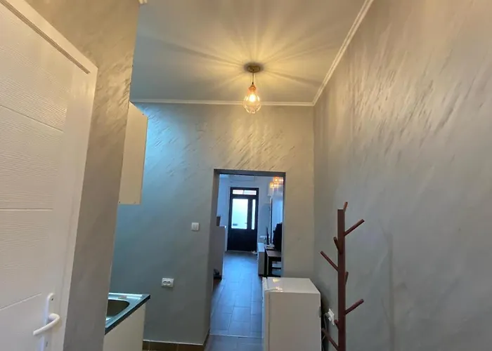 Baja's Garden 公寓